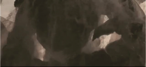 Are We Led By Evil Men, or Demon gods?